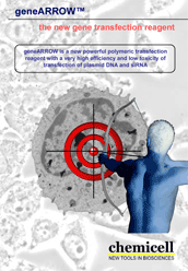 geneARROW, the new gene transfection reagent